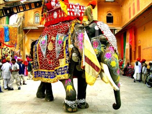 Decorated_Indian_elephant