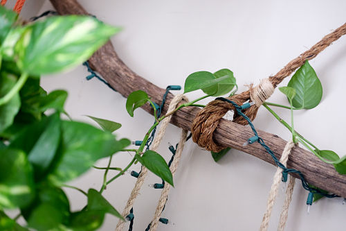 Turn your home into a Pinterest worthy jungle full of plants and flowers